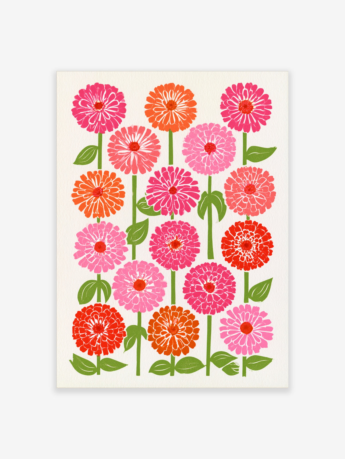 Botanical zinnia flower illustration in pink, orange, and red with green stems on a cream background