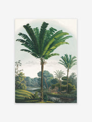 Palm Paradise Poster, Palm Tree Print