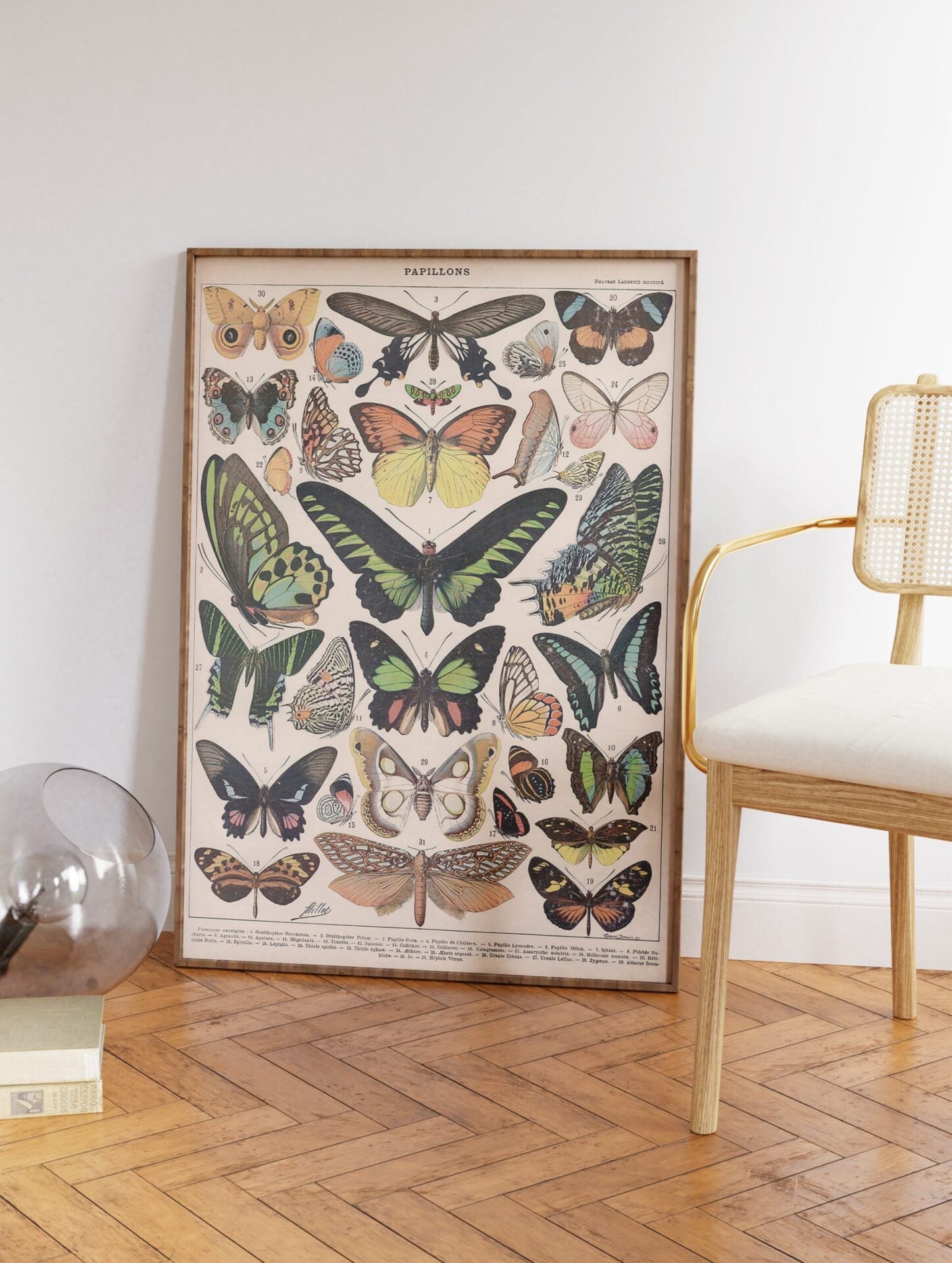 Papillons Poster by Adolphe Millot, Adolphe Millot Butterfly Print