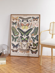 Papillons Poster by Adolphe Millot, Adolphe Millot Butterfly Print