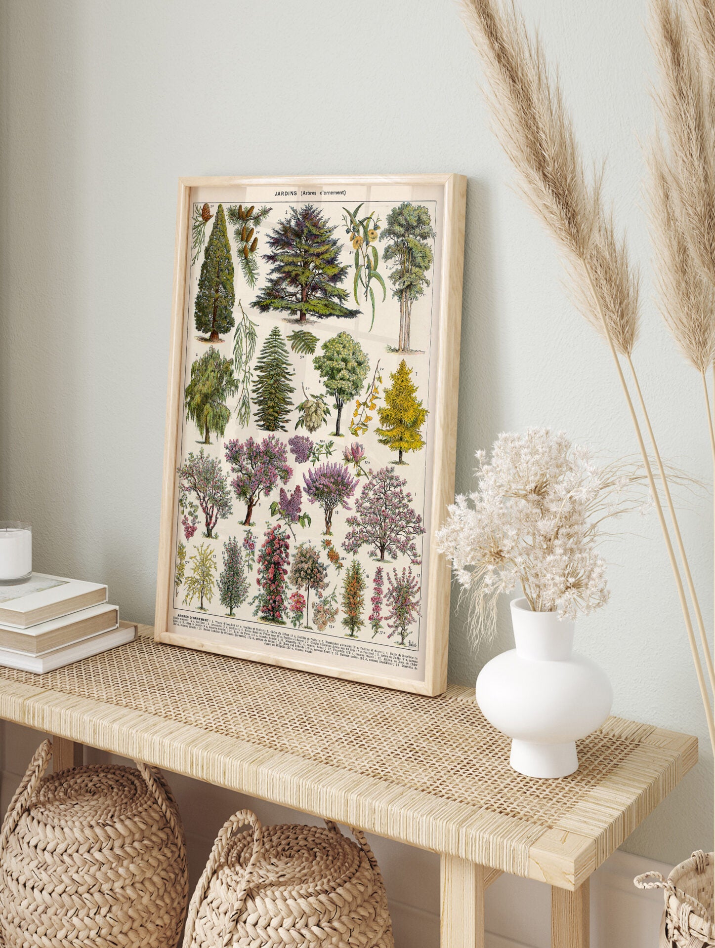 Vintage Tree Poster, Botanical Print