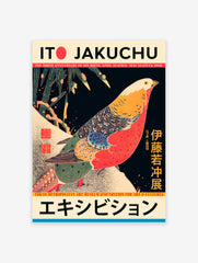 Japanese Bird Poster, Pheasant by Ito Jakuchu Print