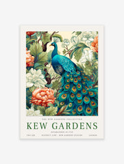 Peacock Poster, Kew Gardens Print