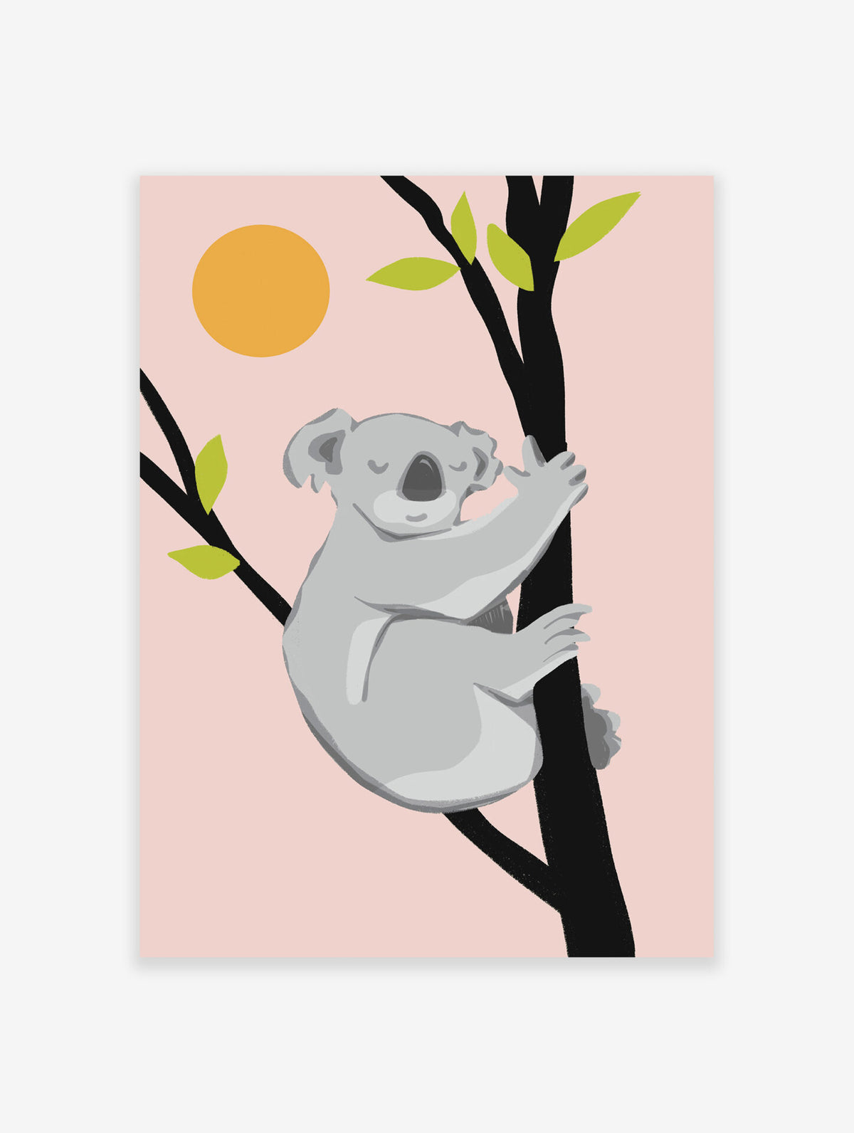 Koala Bear Poster, Koala Print