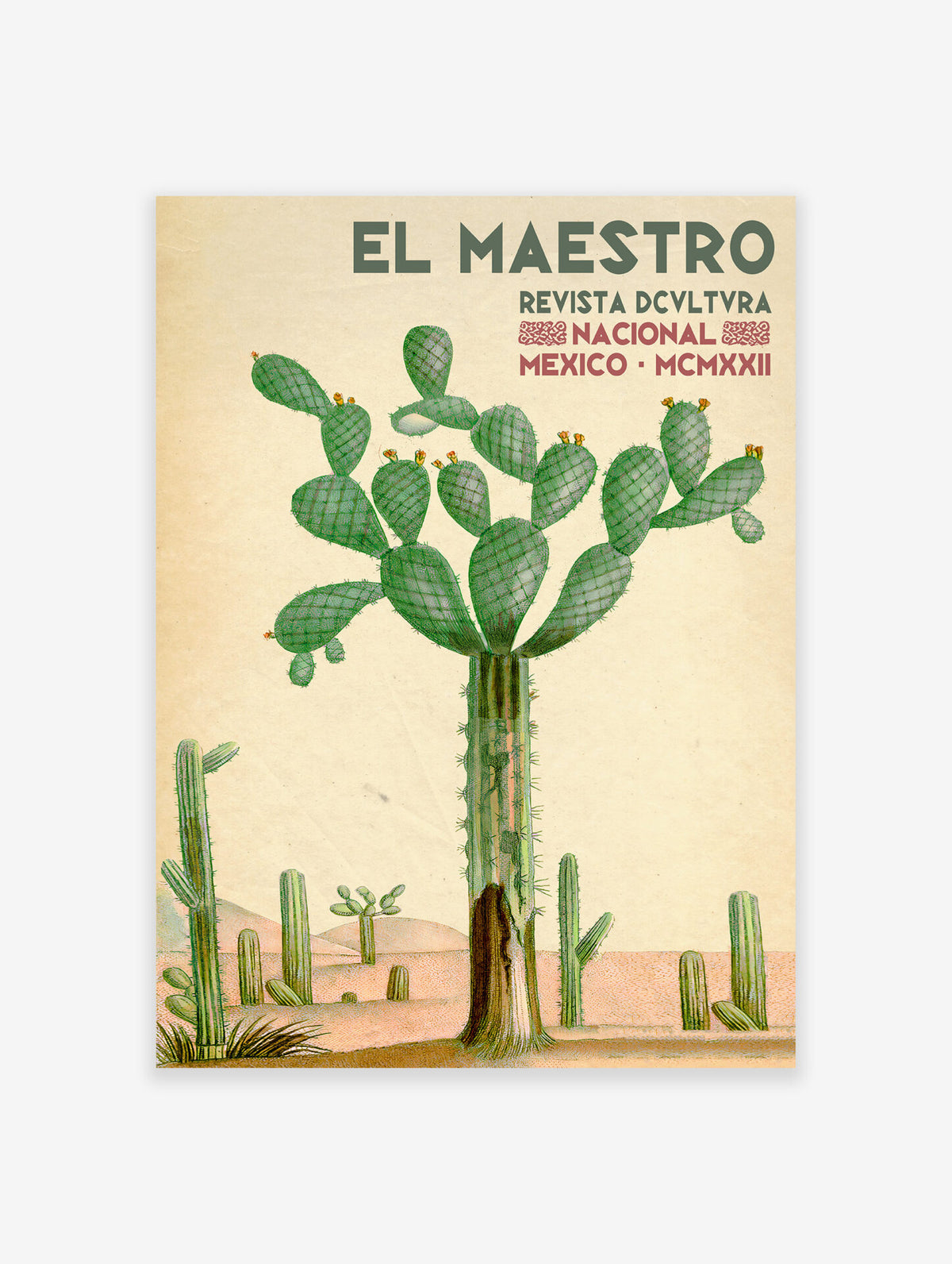 Mexican Cactus Poster, Mexican Interior Print