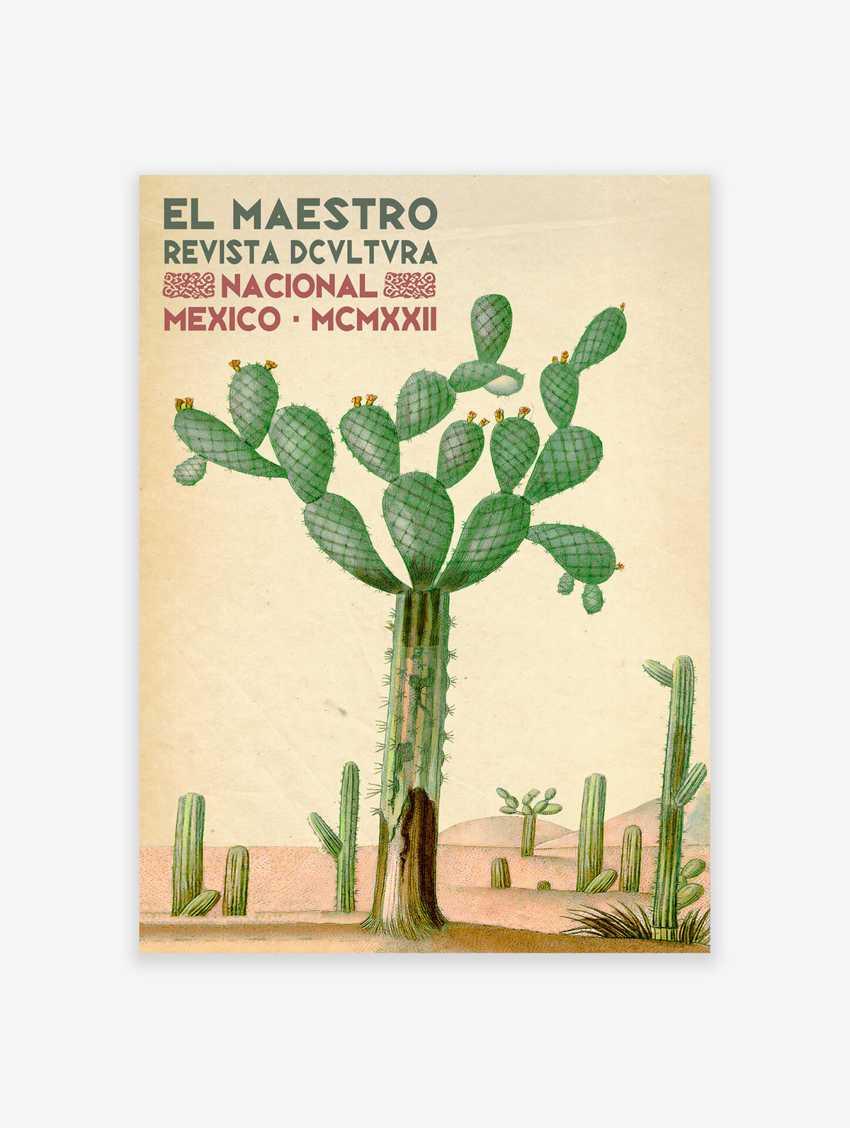 Mexican Cactus Poster, Mexican Interior Design