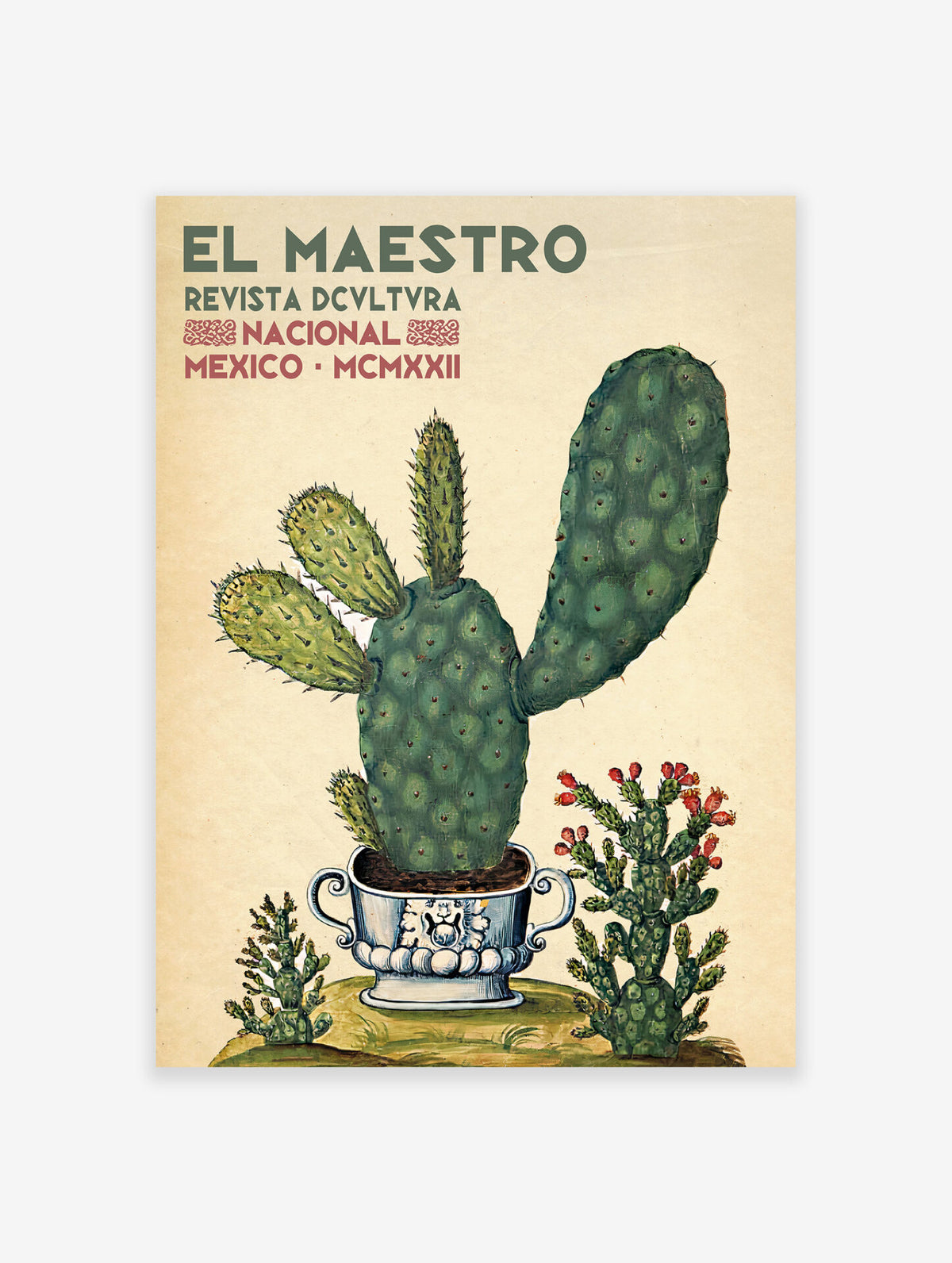 Mexican Cactus Poster, Mexican Interior Print