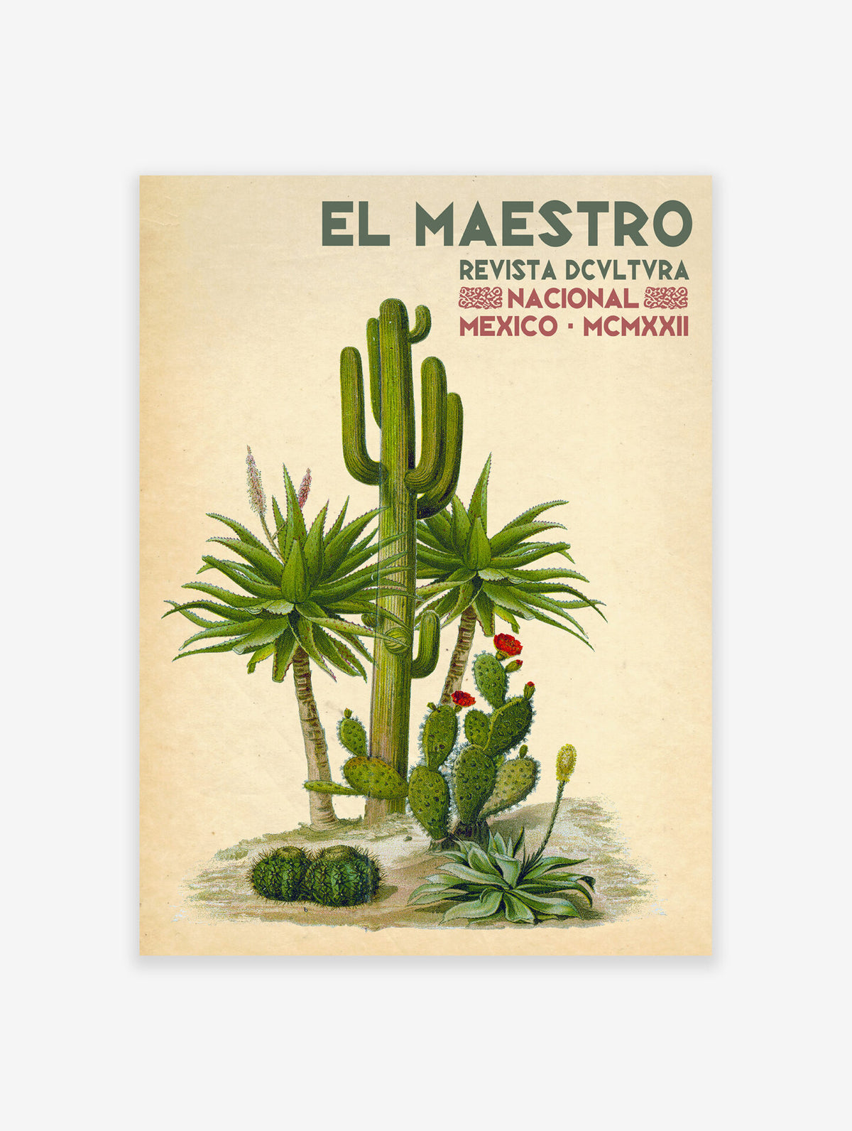 Mexican Cactus Poster, Mexican Interior Print