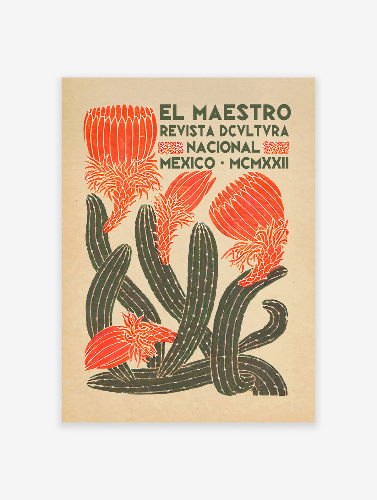 Mexican Cactus Poster, Mexican Print