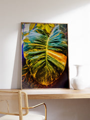 Photographic Leaf Poster, Leaf Print