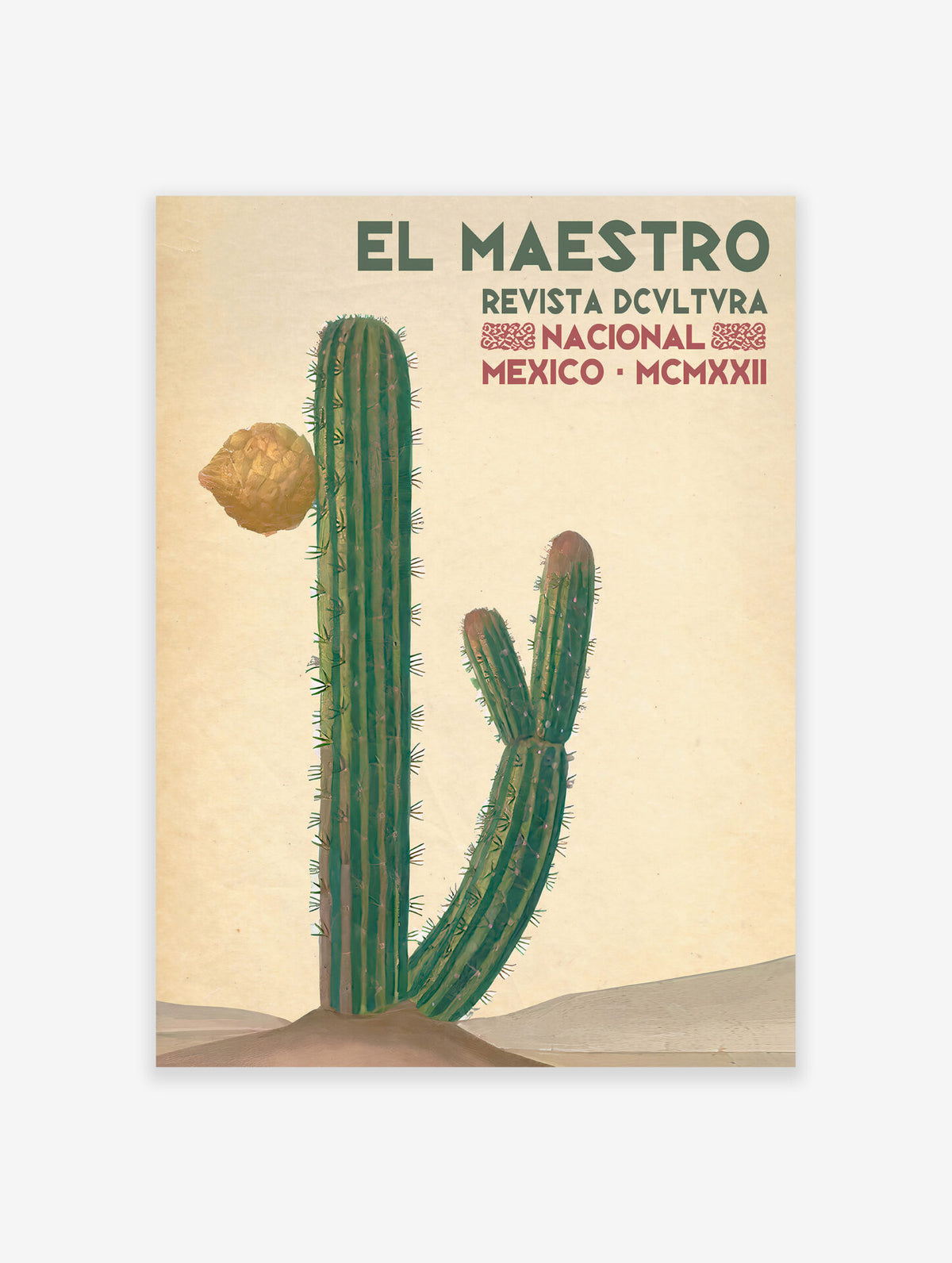 Mexican Cactus Poster, Mexican Interior Print