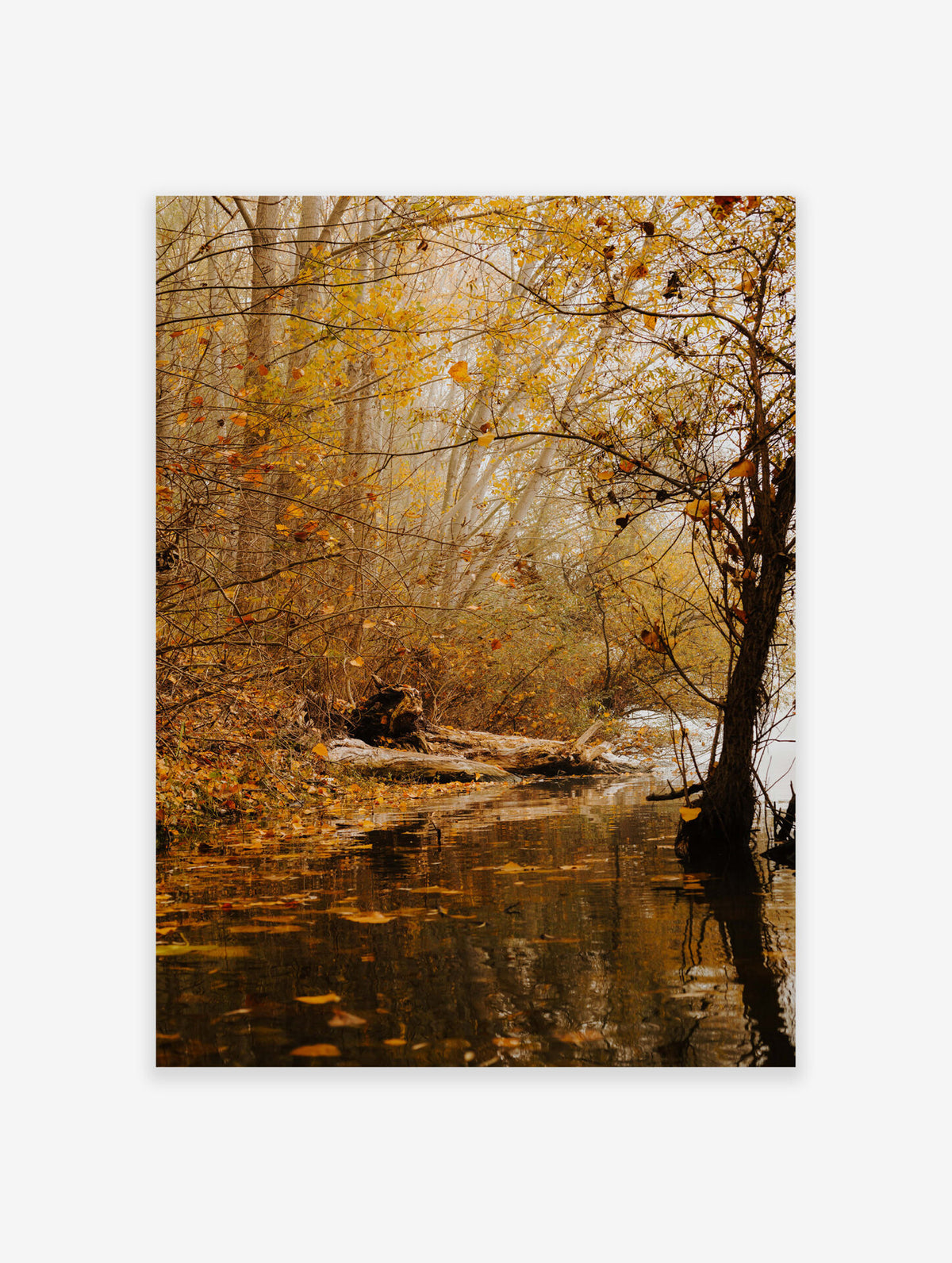 Lake Poster, Photographic Lake Print