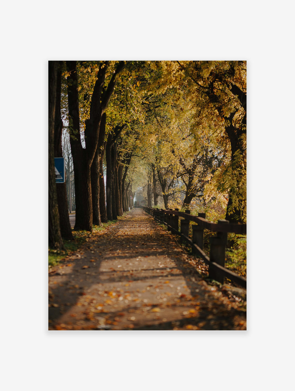 Autumn Season Poster, Autumn Forest Print