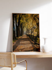 Autumn Season Poster, Autumn Forest Print