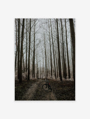 Black and White Forest Poster, Forest Photo Print