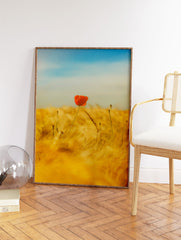 Poppy Poster, Poppy Field Photo Print