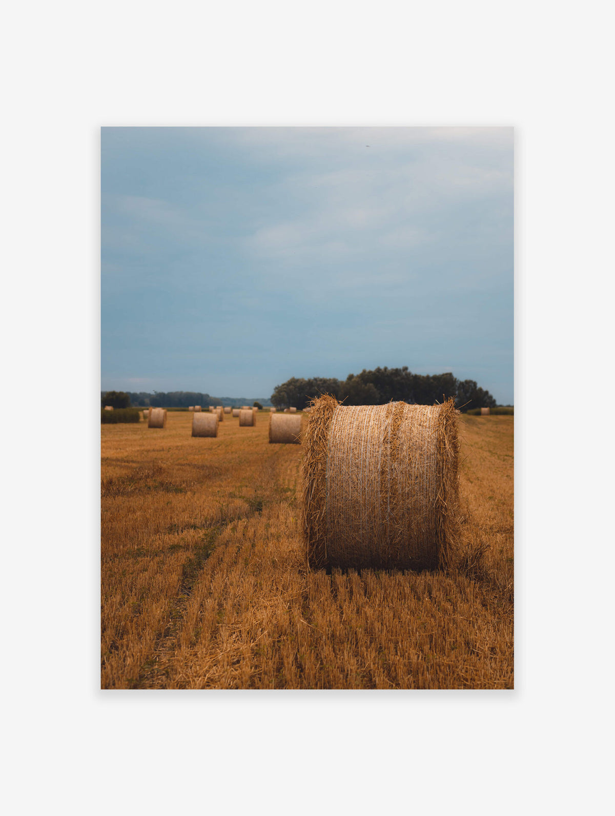 Farming Poster, Field Photo Print