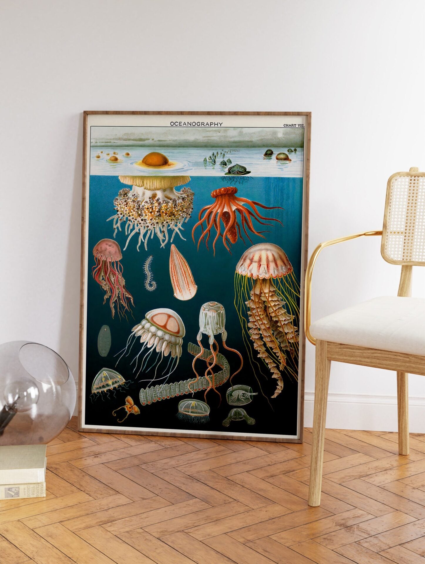 Vintage Jellyfish Poster, Retro Sealife Print