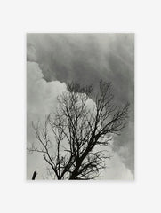 Black and White Clouds Poster, Nature Photography Print