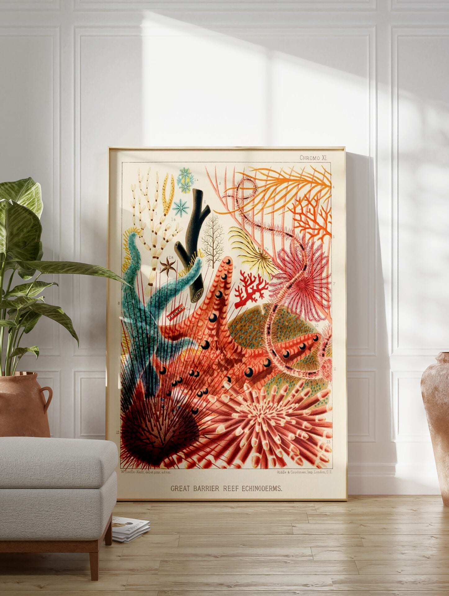 Sea Life Poster, Coral Print