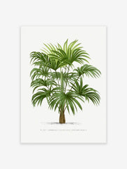 Palm Tree Poster, Tropical Art Print