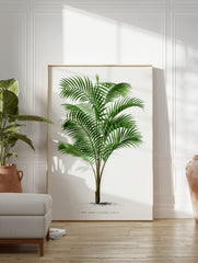 Palm Tree Poster, Tropical Art Print