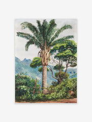 Palm Tree Poster, Tropical Art Print